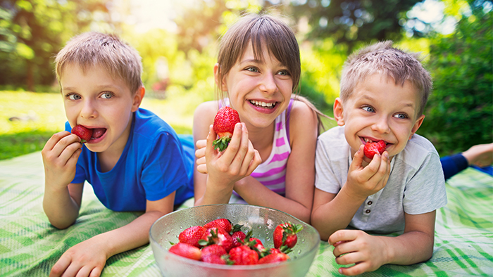 Three kids enjoying strawberries outside on a picnic blanket