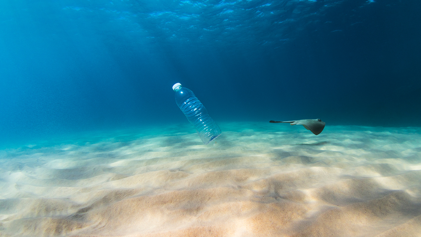 Plastic Water Bottle polluting ocean water