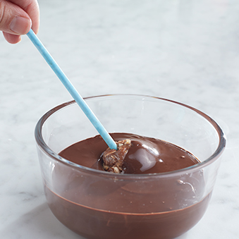 chocolate dipped protein ball