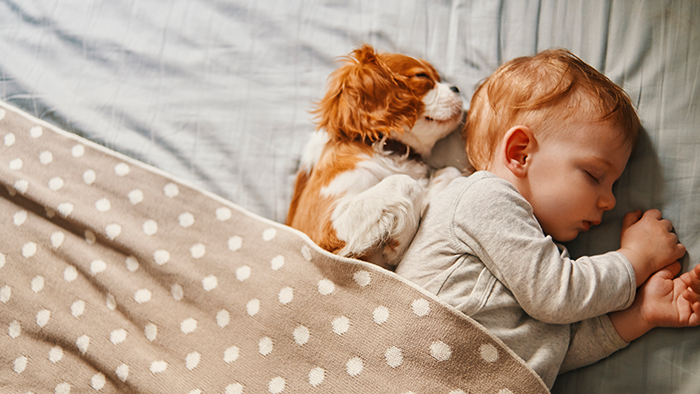 Baby and puppy sleeping together