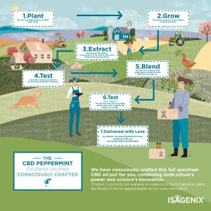 infographic showing steps to create CBD Peppermint Oil Blend