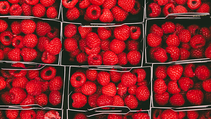 Boxes of raspberries