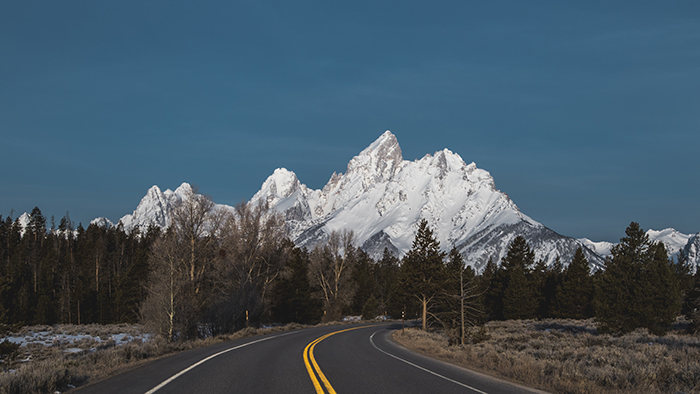 Road loading to forest with a snowy mountaintop in the background