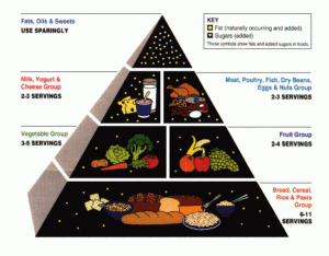 Gluten Free - Food Pyramid