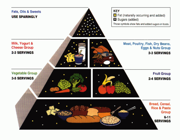 An illustrated food pyramid listing daily portions of different food groups